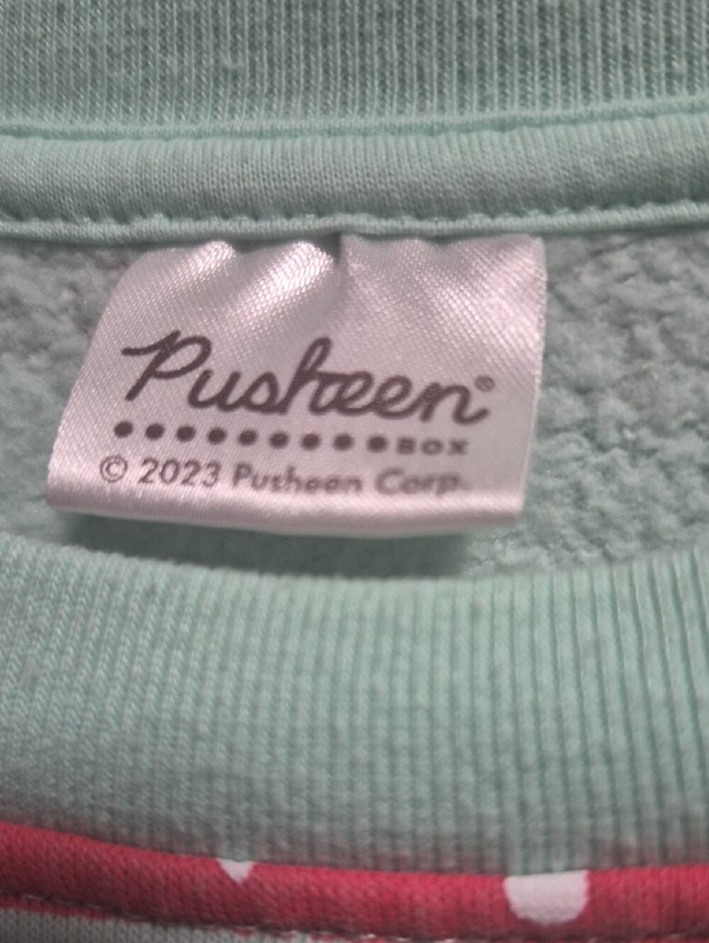 Pusheen Mint Green Graphic Sweatshirt - Picture 2 of 8